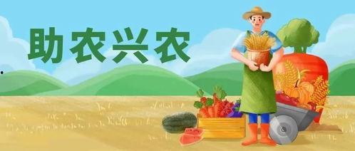 吃瓜之王知乎免费阅读,知乎免费阅读背后的故事