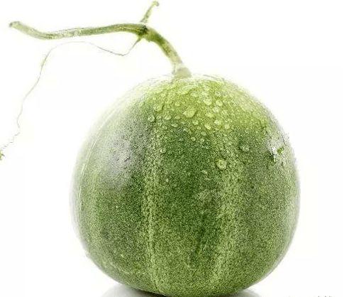 甜瓜人最新版本爆料,全新技能与剧情等你探索  第3张