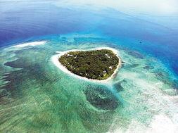 蓝色珊瑚礁在线观看,探寻海底奇观之旅  第1张